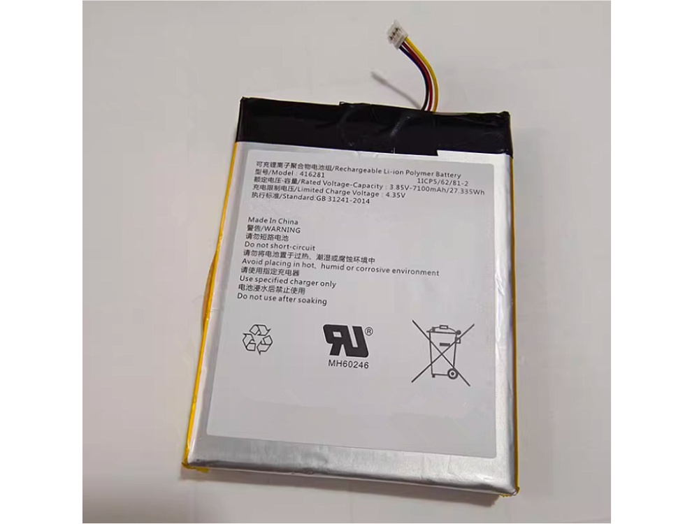 416281 EZVIZ DP1S