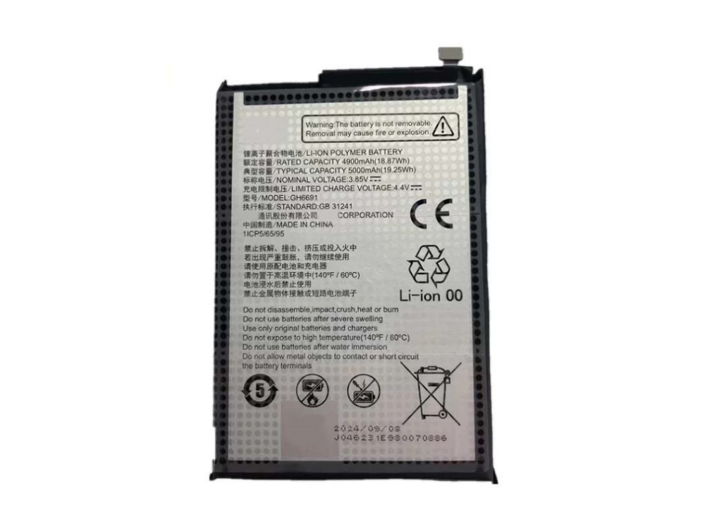ZTE GH6691